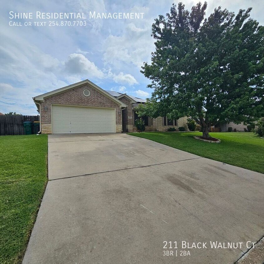 Foto principal - 211 Black Walnut Ct