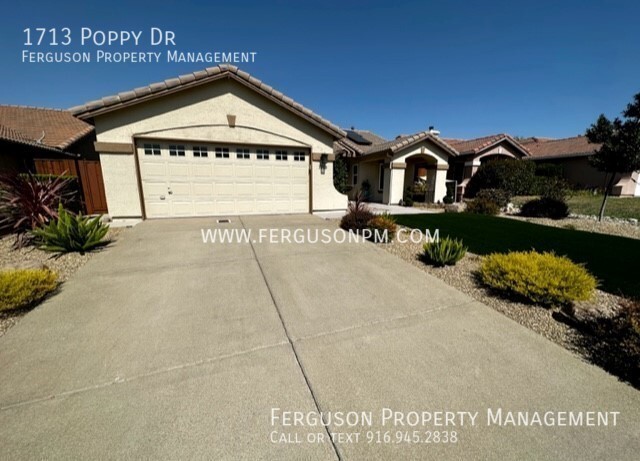 Building Photo - Gorgeous Rocklin Home With Solar That Back...