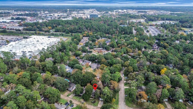 Foto del edificio - 36 N Morningwood Ct