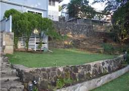 Yard - 652 Judd St