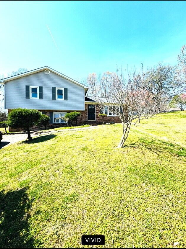 Large front yard - 4045 Old Mayfield Rd
