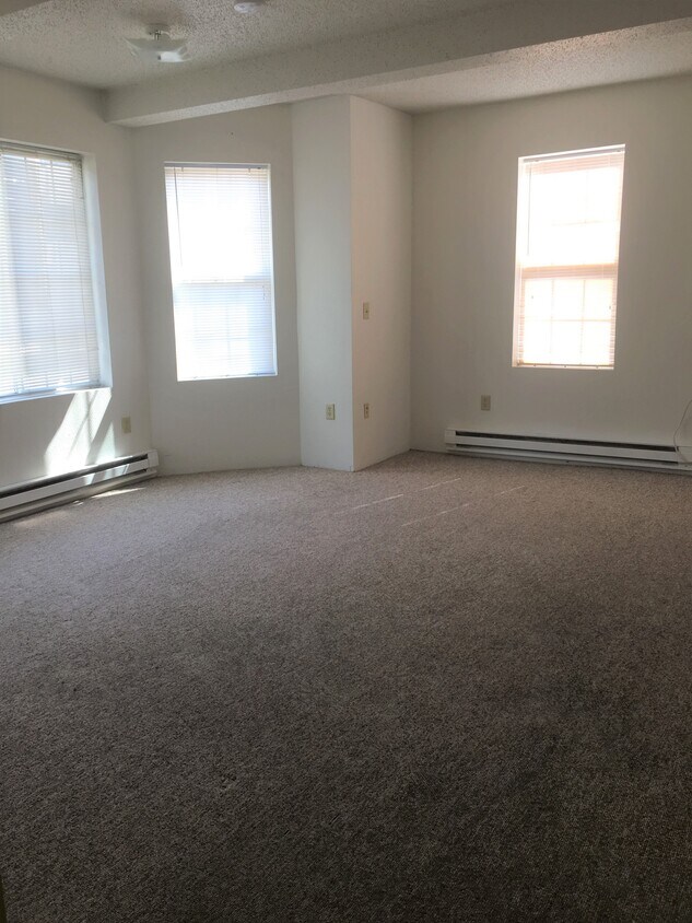 Living Room - 113 E Prentiss St