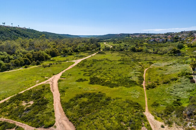 A view from above Los Penasquitos Canyon Preserve near Mira Mesa.