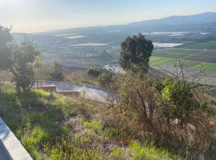 Foto del edificio - 7979 Worth Way