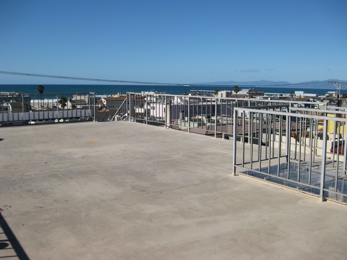 large sunbathing deck - 617 Manhattan Ave