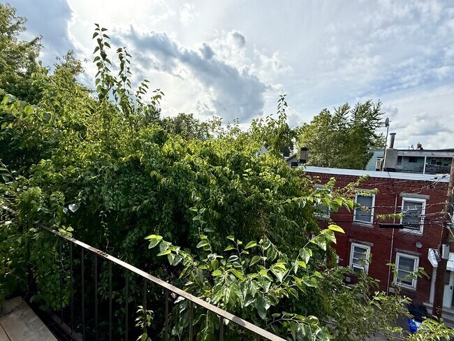 Foto del edificio - 20 Mead St