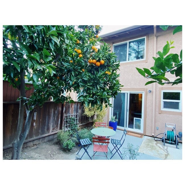 Backyard - 1222 Marionola Way