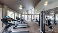 This fitness center is designed to provide a bright, motivating environment for exercise. The space features a striking vaulted ceiling that adds a sense of openness and grandeur, complemented by pendant lighting that casts a warm, even glow throughout. Large floor-to-ceiling windows line the walls, flooding the interior with natural light and offering views of the surrounding greenery, creating an inviting and energizing atmosphere. The layout is thoughtfully organized to accommodate a comprehensive range of workout equipment. A row of cardio machines — including treadmills and ellipticals — lines one side of the room, each positioned to take advantage of the natural light and outdoor views. Strength training equipment, including a multi-station cable machine, is positioned along the opposite wall, alongside medicine balls and other functional fitness accessories. The flooring features durable, textured carpeting suited for high-traffic athletic use. Mirrored wall sections enhance the sense of space and allow users to monitor their form during workouts. Overall, the fitness center strikes a balance between functional design and an airy, welcoming ambiance, making it a well-rounded facility for a variety of fitness routines.