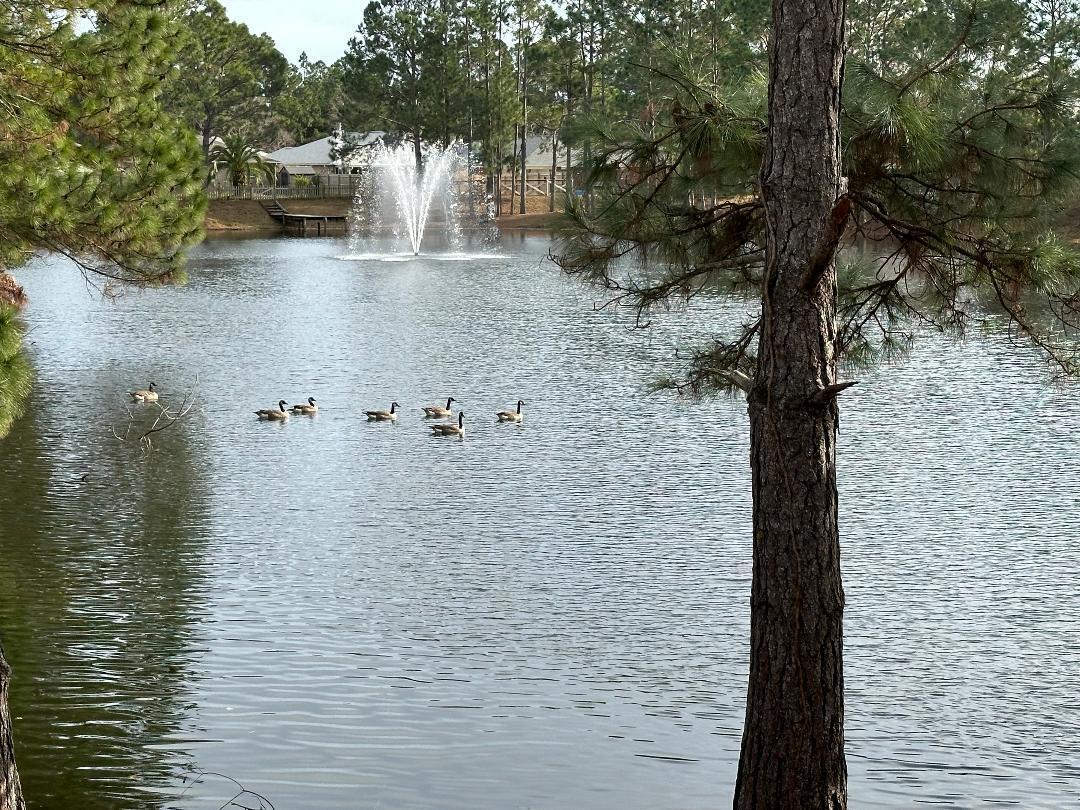 Foto principal - 6350 Heronwalk Dr