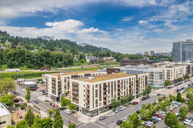 Contexto comunitario - Gray's Landing