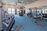 Located at 289 Lakeshore Pkwy in Birmingham, Alabama, this fitness center is a single-story facility designed to support a comprehensive workout experience. The space is generously sized, accommodating a wide variety of equipment without feeling cramped, and is divided into distinct functional zones that cater to different training needs.

The cardio area lines the windowed perimeter walls, featuring multiple treadmills and elliptical machines equipped with individual digital displays. Large windows throughout the space flood the interior with natural light and provide outdoor views, creating an open and energizing atmosphere. Ceiling fans are distributed throughout to maintain airflow and comfort during workouts.

The strength training section is well-appointed, housing a multi-station cable machine, a power rack with a flat bench, a dedicated dumbbell rack stocked with a full range of free weights, and several selectorized resistance machines for targeted muscle training. A heavy punching bag adds a functional fitness element to the space.

The flooring features teal carpeting with geometric accent patterns, adding visual character to the room. A large wall mirror expands the sense of space in the free weights area. Recessed lighting and ceiling-mounted fans complement the natural light. A wall-mounted television, a water fountain, and clearly posted fitness guidelines complete this thoughtfully outfitted facility.