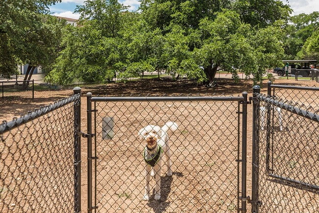 Building Photo - Paseo at Bee Cave