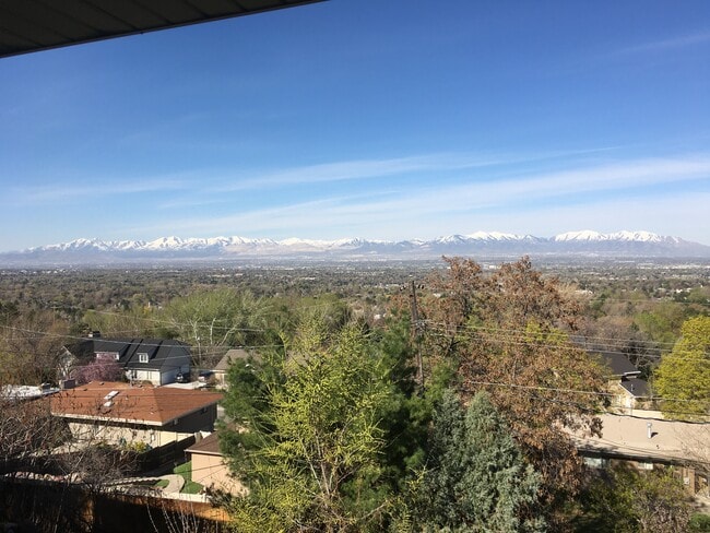 deck view - 4622 S Stratton Dr