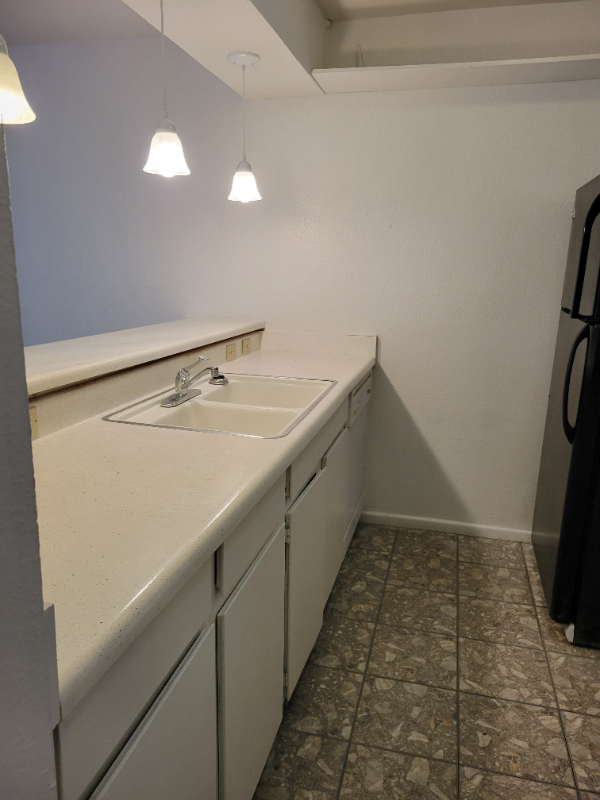 Foto del edificio - 207 Sprucewood Ln
