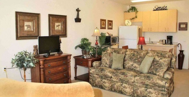 Foto del interior - Solista Hickory