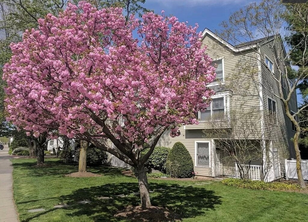 Foto principal - 1049 Washington St