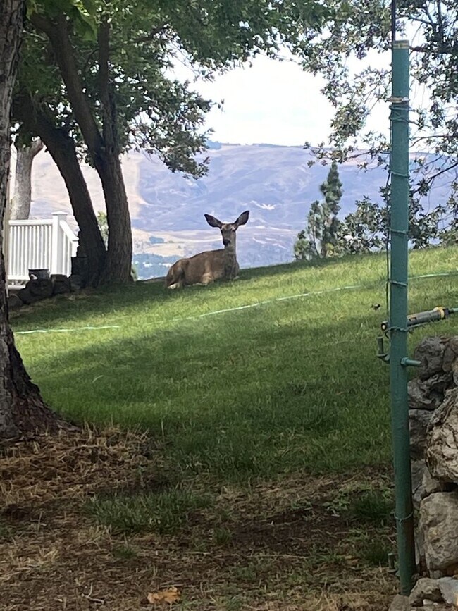 Foto del edificio - 3 Bedrooms | 2 Bath Home in The Dalles, OR