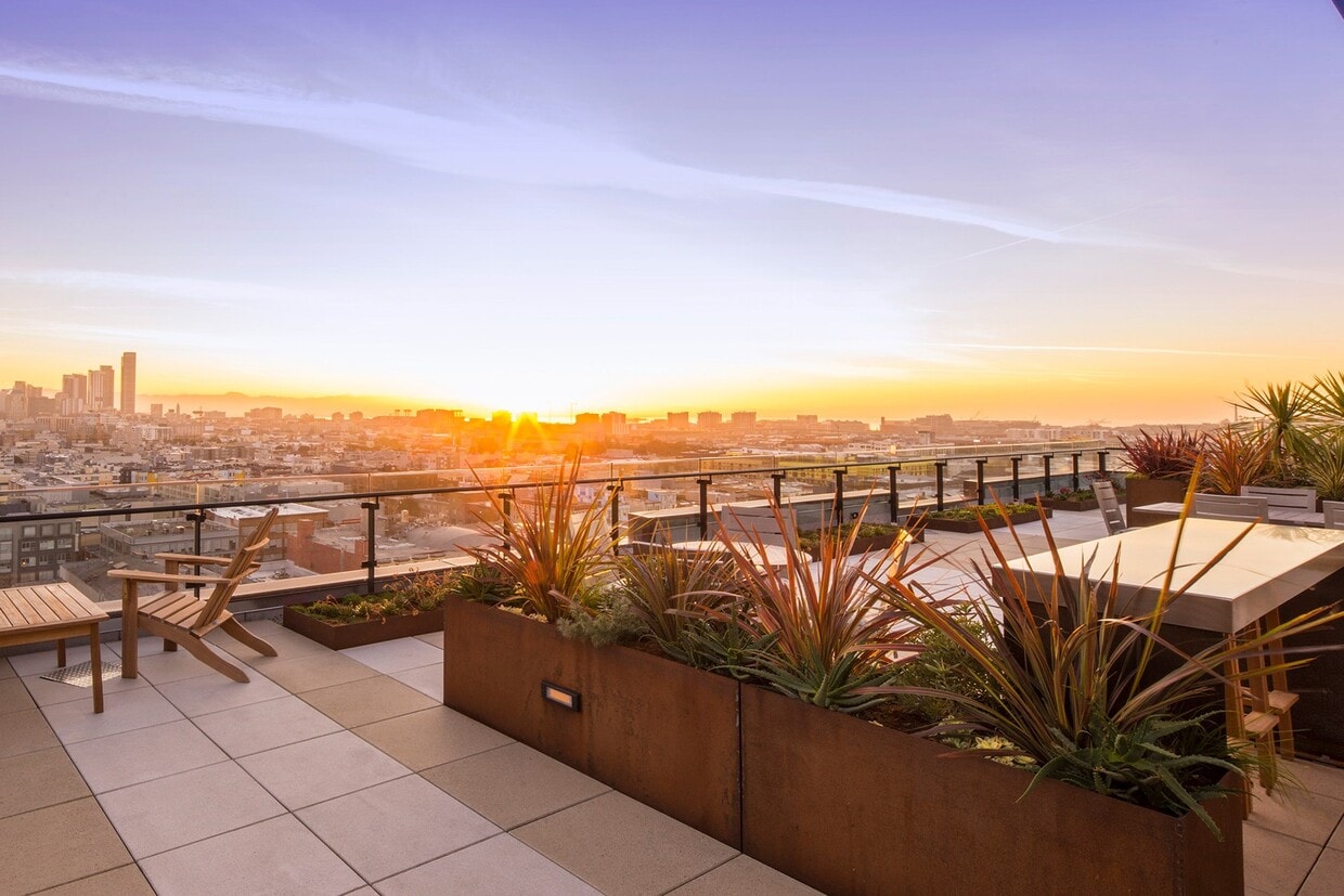 Primary Photo - Olume Apartments