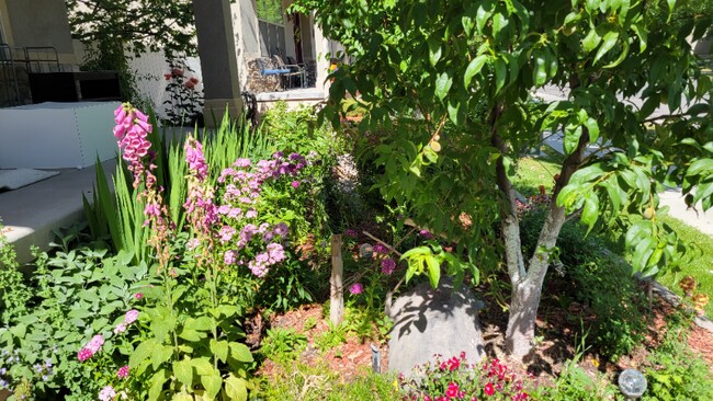 Foto del edificio - 807 Whisper Cove Rd