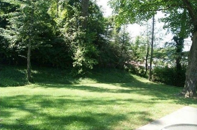 Building Photo - Spacious 4 bed/2 bath - walk to campus!