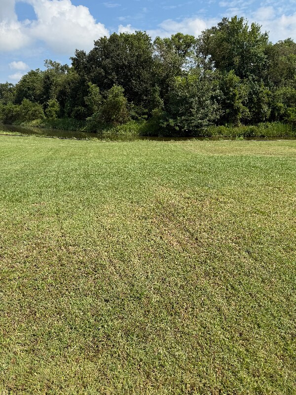 Foto del edificio - 1206 E St Charles St