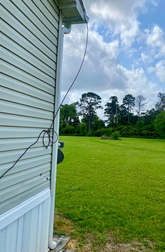 Large back yard. - 3256 Blythe Rd