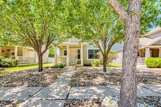 Building Photo - 1507 Davis Mountain Loop