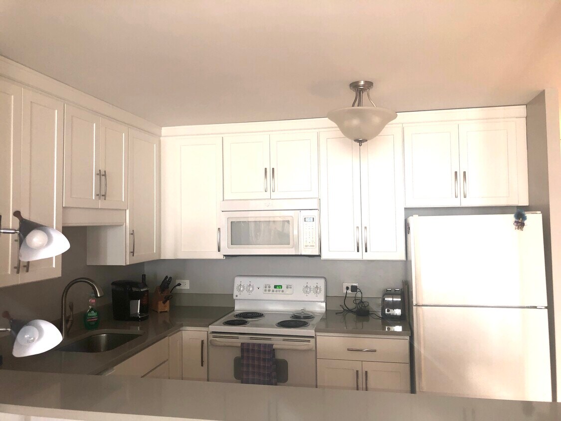 1636 N Wells St Unit 2612, Chicago, IL 60614 Condo for Rent in