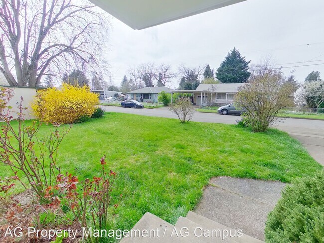 Foto del edificio - 3 br, 2 bath House - 511 Waite Street