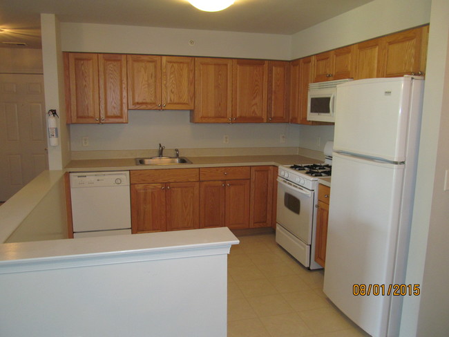 Building Photo - 935 Cedar Ct