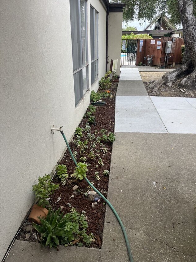 Foto principal - 2 Bedroom/ 2 Bath Condo with Community Pool