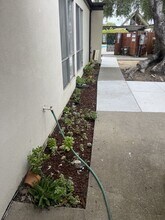 Building Photo - 1184 Oceanaire Dr