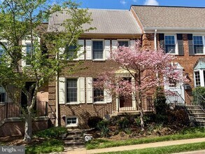 Building Photo - 1136 Pine Hill Rd