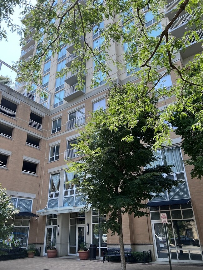 Building Photo - 1640 Maple Ave