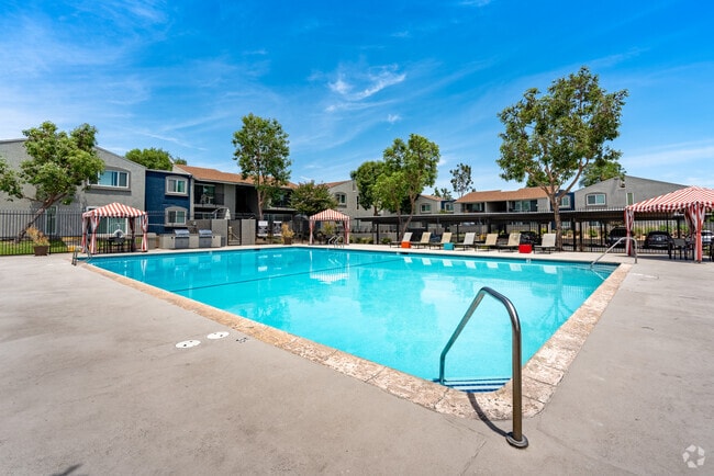 Pool - West Fifth Apartments