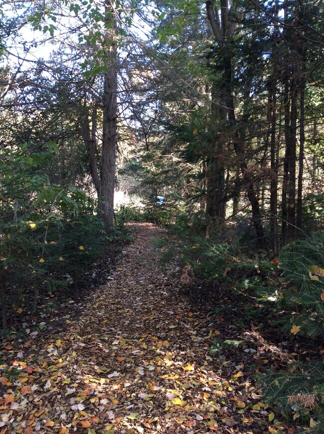 Wood chip path to the driveway from entrance. - 37408 Hemingway Ave