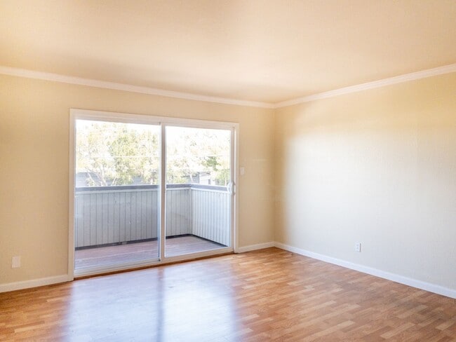 Building Photo - 2BD 1BA Recently Renovated Unit! Parking! ...