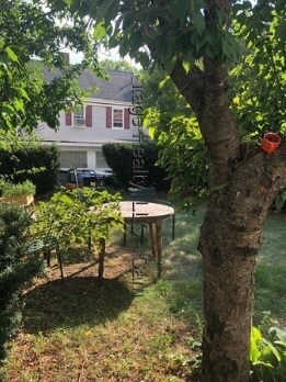 Foto principal - 84 Thorndike St