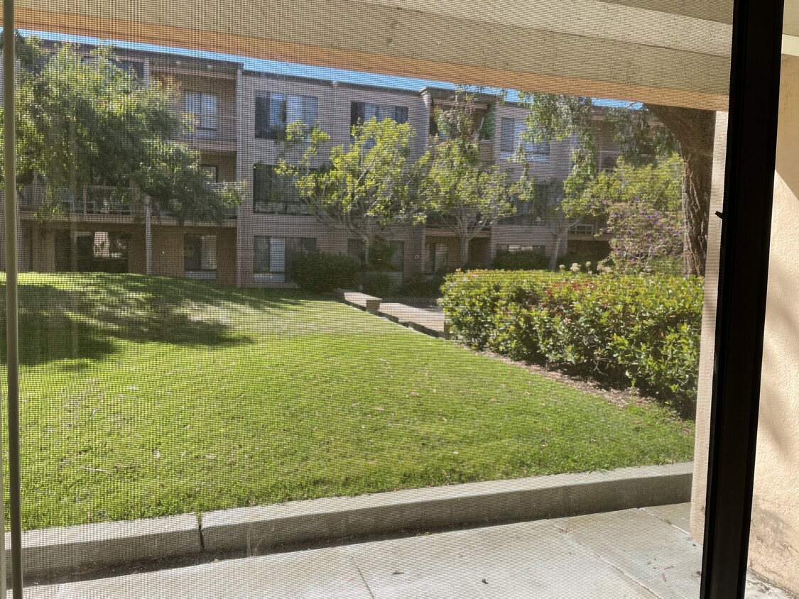 Garden Courtyard - 6 Admiral Dr