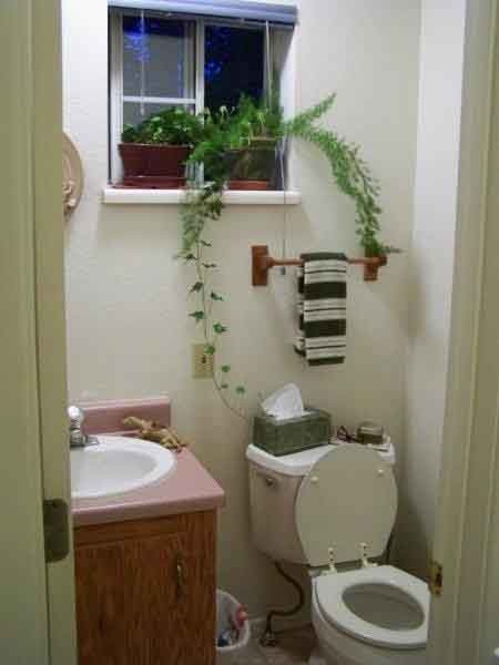 Medio baño en la planta baja - 346 S Elm St