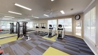 This single-floor fitness center is thoughtfully designed to accommodate a comprehensive workout experience. The space is anchored by a cardio zone outfitted with True-brand treadmills, elliptical trainers, and a recumbent bike, all positioned in front of large windows fitted with blinds that invite generous natural light and views of the surrounding greenery. Ceiling fans and recessed fluorescent lighting ensure the environment remains comfortable and well-lit throughout the day. A full wall of floor-to-ceiling mirrors visually expands the space and supports proper form during exercise. The strength and functional training area features a multi-station cable machine, a rack of dumbbells, medicine balls in varying weights, and resistance bands, providing a versatile range of options for strength training. A dedicated stretching and floor exercise zone is defined by a green mat and step platforms, complemented by stability balls. A wall-mounted flat-screen television keeps users entertained during workouts. The flooring consists of striped carpet tiles in grey and yellow, adding a modern, energetic aesthetic throughout. A water cooler is conveniently positioned nearby, and workout reference charts are displayed on the walls for guidance.