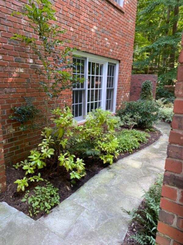 Foto principal - 125a Wild Iris Ln
