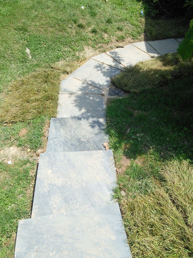 Stairs leading to entrance - 3905 Brenda Ln