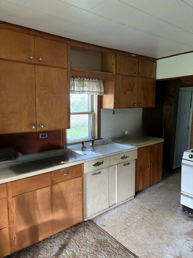 Foto del edificio - 259 Elizabeth St