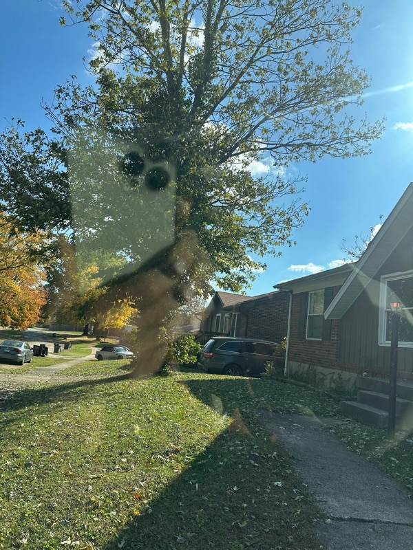 Photo - 3608 Ripple Creek Dr House