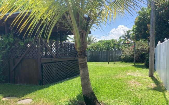 Back yard - 469 NE 35th St