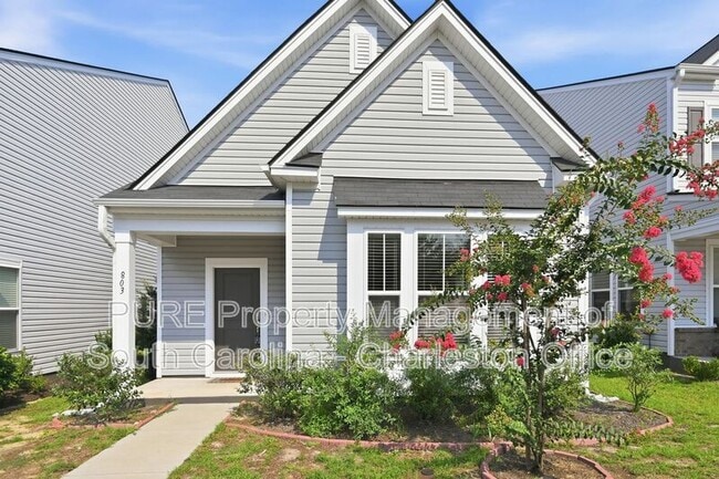 Photo - 803 Lachicotte Creek Dr House