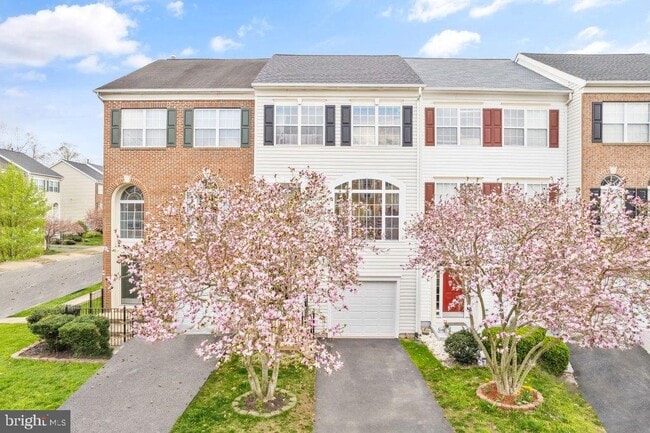 Building Photo - 10136 Pale Rose Loop
