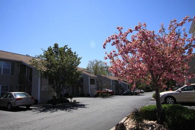 Timber East Apartments Rentals - Lynchburg, VA | Apartments.com Timber East Apartments Rentals - Lynchburg, VA | Apartments.com
