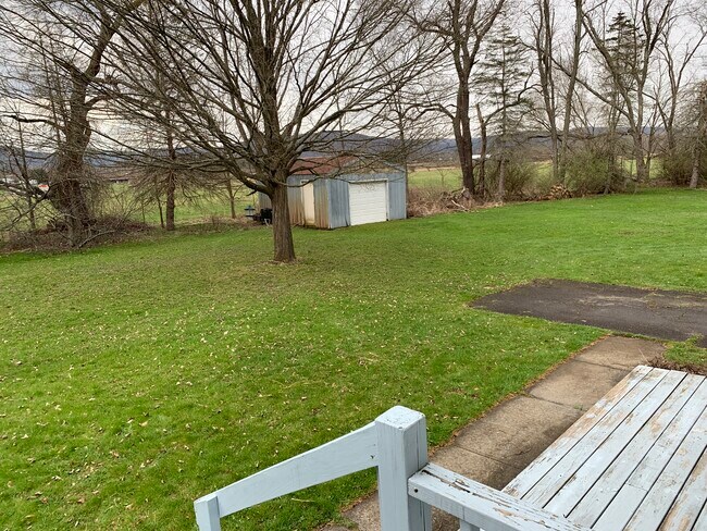 Large backyard and shared storage shed - 16 Hickory Dr